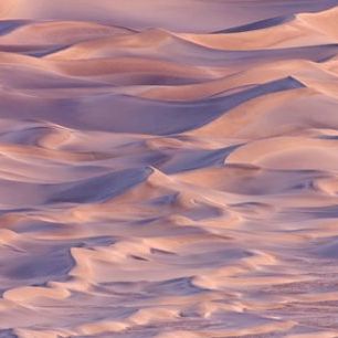 輸入壁紙 カスタム壁紙 PHOTOWALL / Sand Dunes at Sunset, California (e31128)