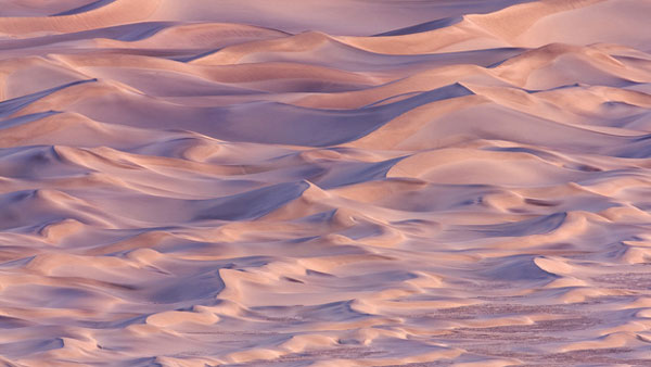 輸入壁紙 カスタム壁紙 PHOTOWALL / Sand Dunes at Sunset, California (e31128)