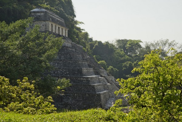 輸入壁紙 カスタム壁紙 PHOTOWALL / The Palenque Mayan Ruins, Mexico (e31137)