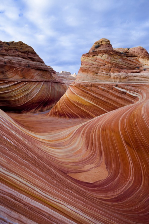 輸入壁紙 カスタム壁紙 PHOTOWALL / Twisted Sandstone Curves, Vermilion Cliffs, Arizona (e31141)