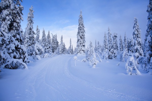 輸入壁紙 カスタム壁紙 PHOTOWALL / Ski track in Dalarna, Sweden (e40987)