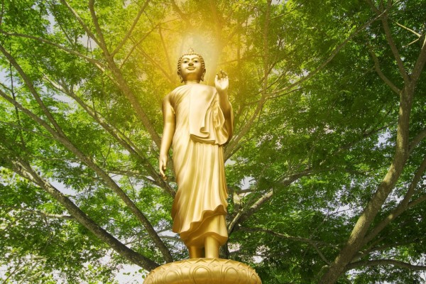 輸入壁紙 カスタム壁紙 PHOTOWALL / Statue of Buddha (e310179)