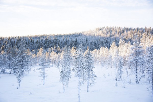 輸入壁紙 カスタム壁紙 PHOTOWALL / Silence of Winter I (e310331)