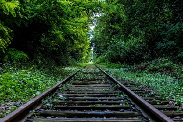 輸入壁紙 カスタム壁紙 PHOTOWALL / Railroad Tracks (e310289)