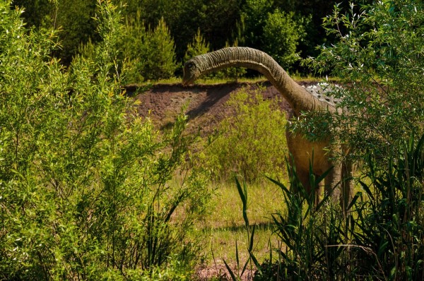 輸入壁紙 カスタム壁紙 PHOTOWALL / Long-Necked Dinosaur (e310462)