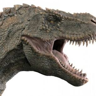 輸入壁紙 カスタム壁紙 PHOTOWALL / T-Rex Dinosaur (e310464)