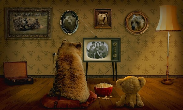 輸入壁紙 カスタム壁紙 PHOTOWALL / Bear and Teddy (e310476)