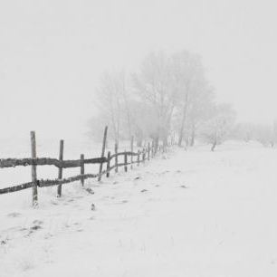輸入壁紙 カスタム壁紙 PHOTOWALL / Winter Snow (e310534)