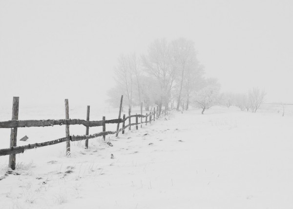 輸入壁紙 カスタム壁紙 PHOTOWALL / Winter Snow (e310534)
