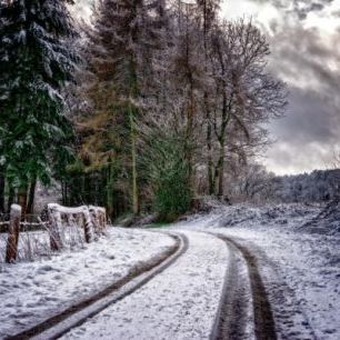 輸入壁紙 カスタム壁紙 PHOTOWALL / Tracks in Snowy Road (e310558)