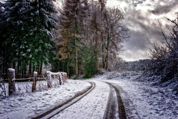 輸入壁紙 カスタム壁紙 PHOTOWALL / Tracks in Snowy Road (e310558)