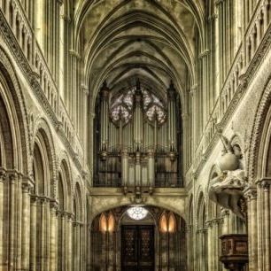 輸入壁紙 カスタム壁紙 PHOTOWALL / Cathedral Organ (e310581)