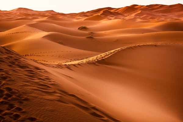 輸入壁紙 カスタム壁紙 PHOTOWALL / Desert Sand Foot Prints (e310637)