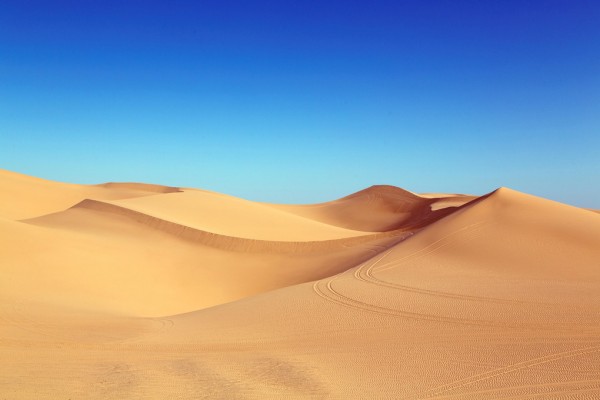 輸入壁紙 カスタム壁紙 PHOTOWALL / Desert Sand Dunes (e310638)