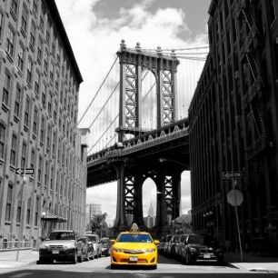 輸入壁紙 カスタム壁紙 PHOTOWALL / Yellow Taxi (e310781)