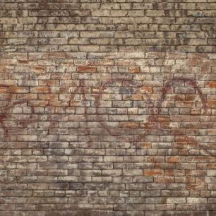 輸入壁紙 カスタム壁紙 PHOTOWALL / Brick Wall Graffiti (e310829)