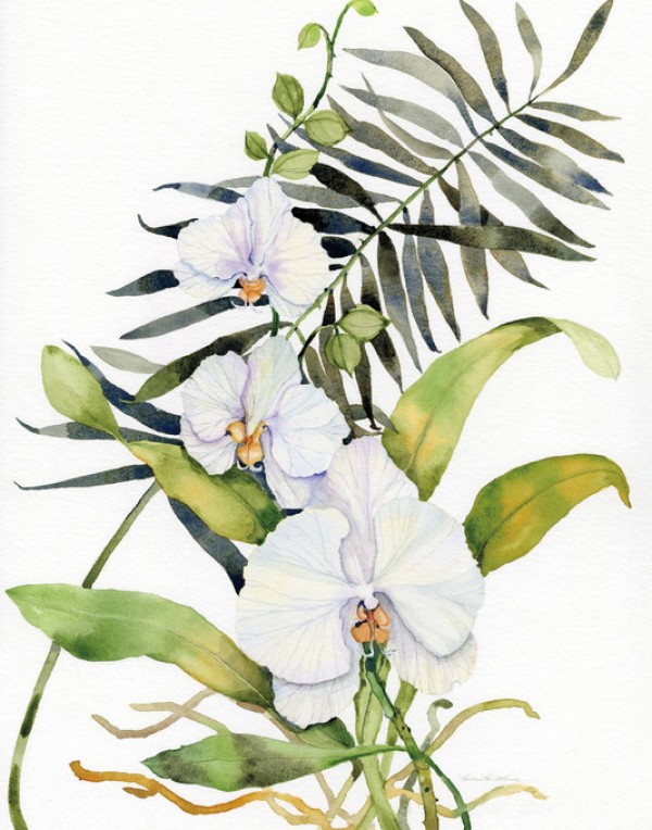 輸入壁紙 カスタム壁紙 PHOTOWALL / Botanical Phalaenopsis Crop (e311162)