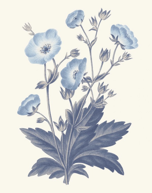 輸入壁紙 カスタム壁紙 PHOTOWALL / Blue Botanical VI (e311199)