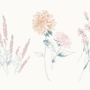 輸入壁紙 カスタム壁紙 PHOTOWALL / Flowers on White VIII Contemporary (e311222)