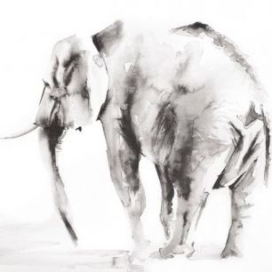 輸入壁紙 カスタム壁紙 PHOTOWALL / Lone Elephant Gray Crop (e311264)