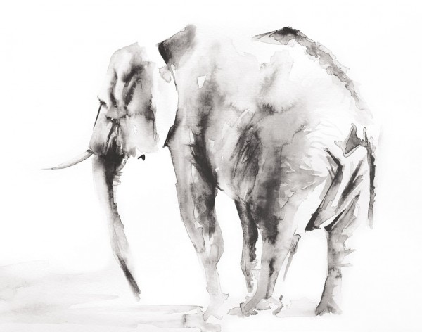 輸入壁紙 カスタム壁紙 PHOTOWALL / Lone Elephant Gray Crop (e311264)