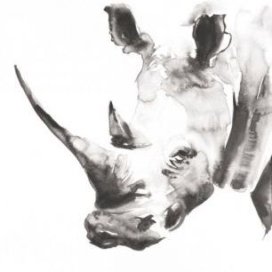 輸入壁紙 カスタム壁紙 PHOTOWALL / Rhino Gray Crop (e311265)