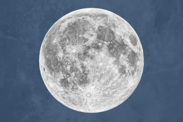 輸入壁紙 カスタム壁紙 PHOTOWALL / Blue Moon (e311314)