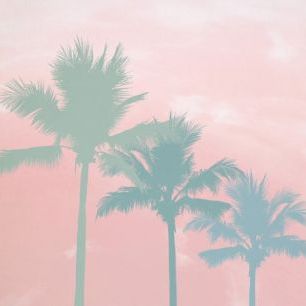 輸入壁紙 カスタム壁紙 PHOTOWALL / Sunset Palm Trees (e311342)