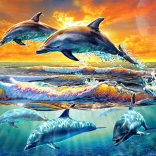 輸入壁紙 カスタム壁紙 PHOTOWALL / Dolphins at dawn (e312157)