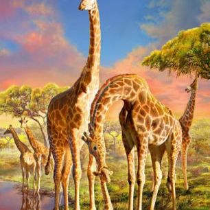 輸入壁紙 カスタム壁紙 PHOTOWALL / Giraffes (e312159)