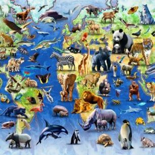 輸入壁紙 カスタム壁紙 PHOTOWALL / One Hundred Endangered Species (e312168)