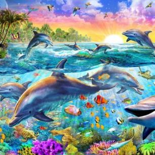 輸入壁紙 カスタム壁紙 PHOTOWALL / Tropical Dolphins (e312177)