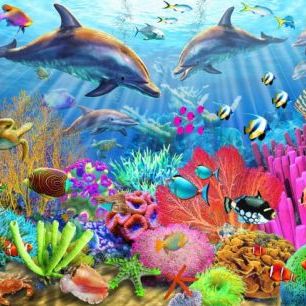 輸入壁紙 カスタム壁紙 PHOTOWALL / Dolphin Coral Reef (e312192)
