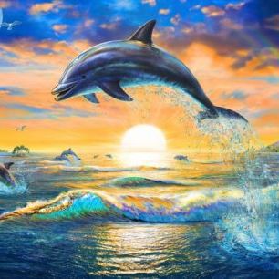 輸入壁紙 カスタム壁紙 PHOTOWALL / Dolphin Sunrise (e312217)