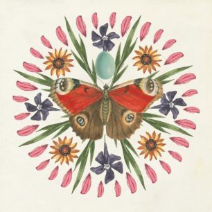 輸入壁紙 カスタム壁紙 PHOTOWALL / Butterfly Mandala (e312231)