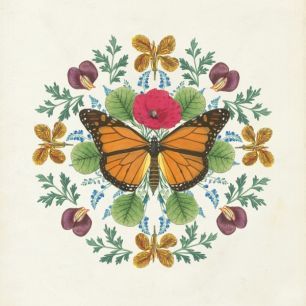 輸入壁紙 カスタム壁紙 PHOTOWALL / Butterfly Mandala (e312235)