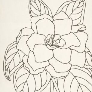 輸入壁紙 カスタム壁紙 PHOTOWALL / Gardenia Line Drawing I (e312264)