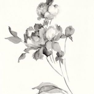 輸入壁紙 カスタム壁紙 PHOTOWALL / Peony Blossoms Gray (e312279)