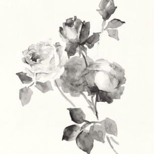 輸入壁紙 カスタム壁紙 PHOTOWALL / Rose Blossoms Gray (e312280)