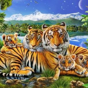 輸入壁紙 カスタム壁紙 PHOTOWALL / Loving Tigers (e312306)