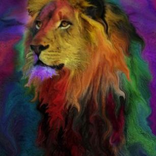 輸入壁紙 カスタム壁紙 PHOTOWALL / Rainbow Lion (e312365)