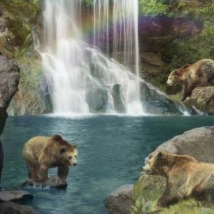 輸入壁紙 カスタム壁紙 PHOTOWALL / Bear Falls (e312370)