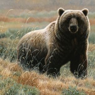 輸入壁紙 カスタム壁紙 PHOTOWALL / Grizzly on Tundra (e312374)