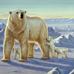 輸入壁紙 カスタム壁紙 PHOTOWALL / Polar Bear with Cubs (e312384)