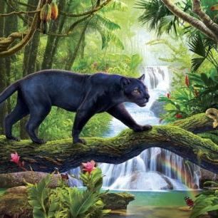 輸入壁紙 カスタム壁紙 PHOTOWALL / Panther In Jungle (e312794)