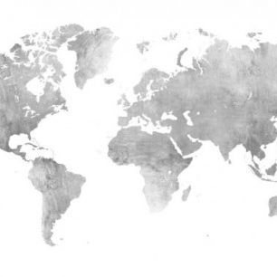 輸入壁紙 カスタム壁紙 PHOTOWALL / World Map Brushed Metal II (e313721)