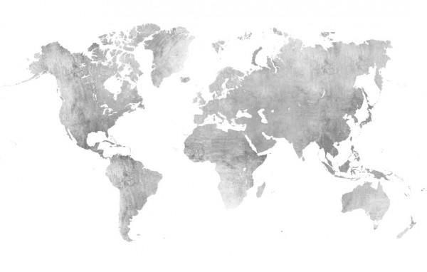 輸入壁紙 カスタム壁紙 PHOTOWALL / World Map Brushed Metal II (e313721)