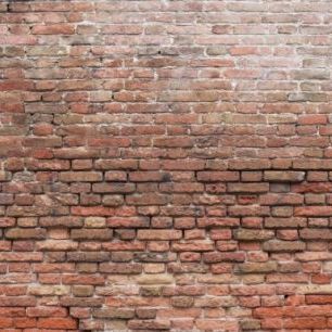 輸入壁紙 カスタム壁紙 PHOTOWALL / Dilapidated Brick Wall (e313617)