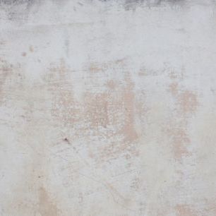輸入壁紙 カスタム壁紙 PHOTOWALL / Frayed Wall (e313618)