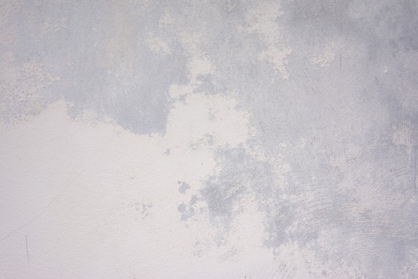 輸入壁紙 カスタム壁紙 PHOTOWALL / Scruffy Painted Wall (e313640)